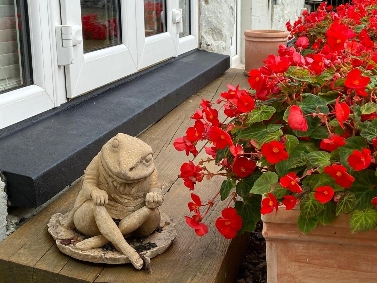 Toadhall Rooms Muchalls Екстериор снимка