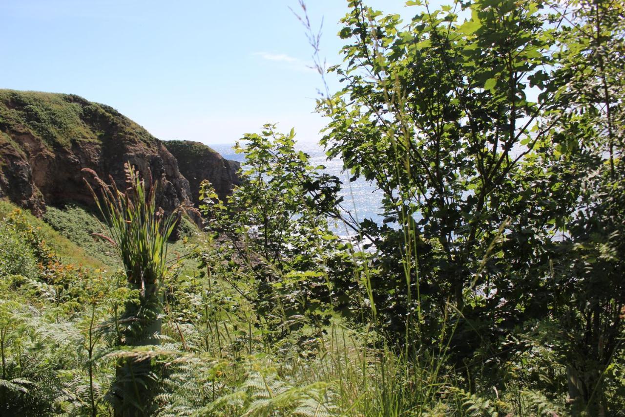 Toadhall Rooms Muchalls Екстериор снимка