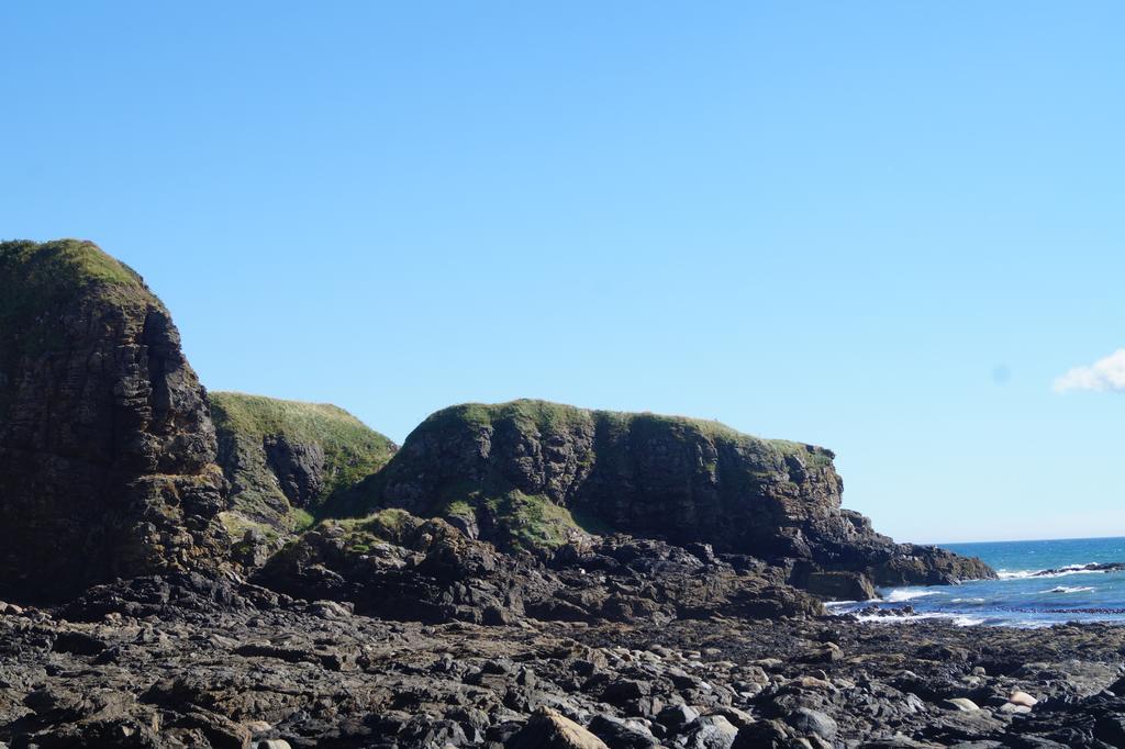 Toadhall Rooms Muchalls Екстериор снимка